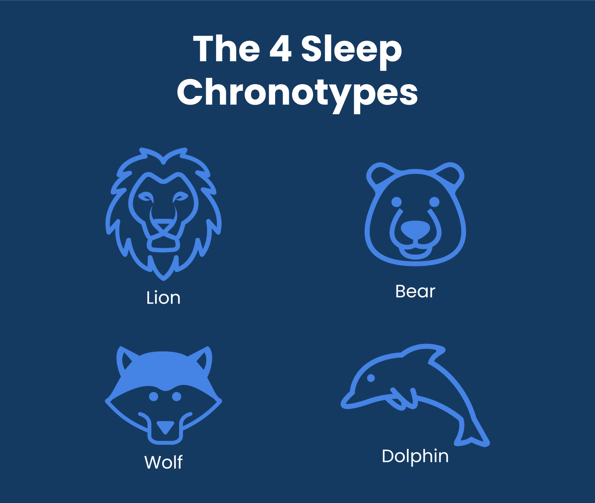 four-sleep-chronotypes