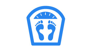 icon healthy weight