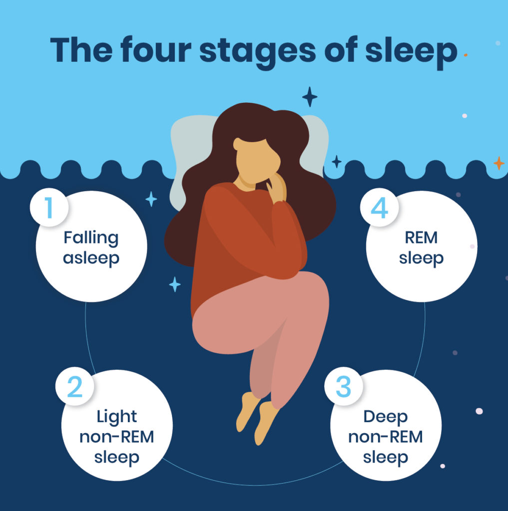 Sleep Stages 4 Types Of Sleep Stages Sleepscore