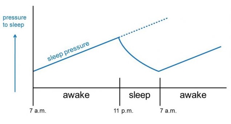 sleep-pressure