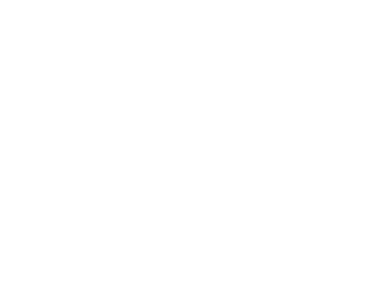 Pegasus - Capital Advisors