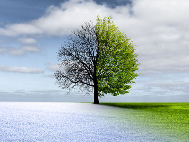 Spring winter change in a landscape with tree